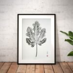 estampe feuille de figuier paradoxe création Cadenet