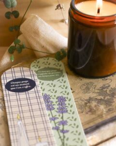 illustration graphique mathilde cristol graphiste luberon cadenet